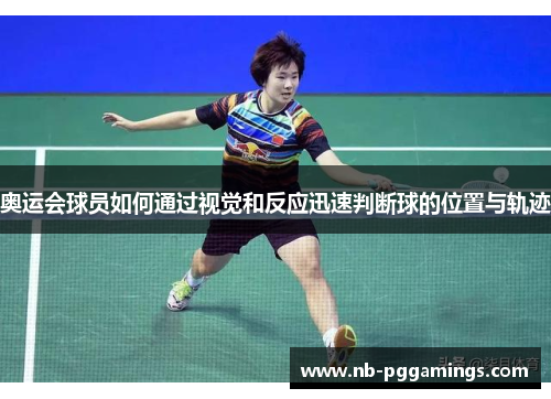 奥运会球员如何通过视觉和反应迅速判断球的位置与轨迹